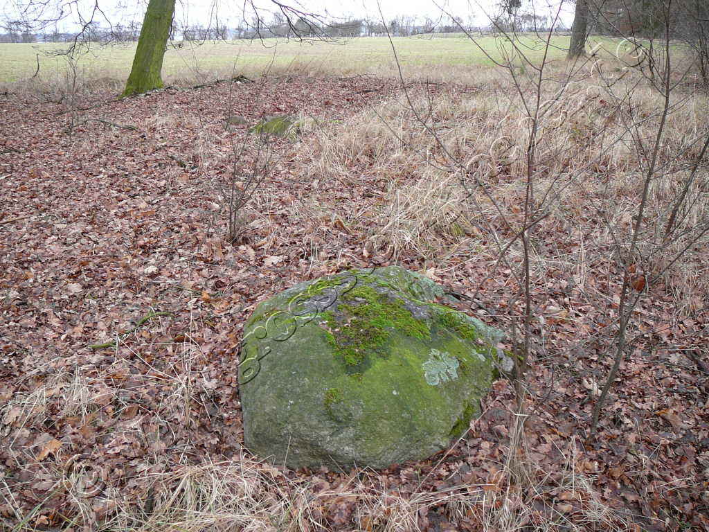 Großsteingräber und Megalithbauwerke Grab 95